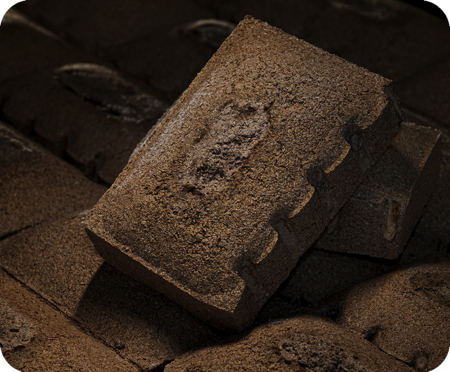 首页-人生就是博手机版