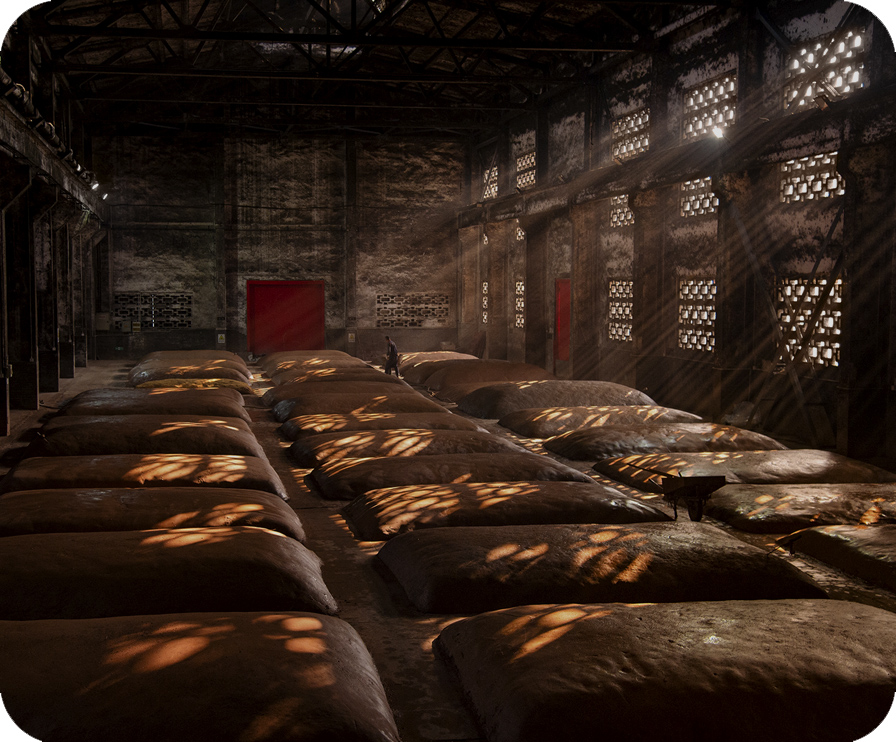 首页-人生就是博手机版