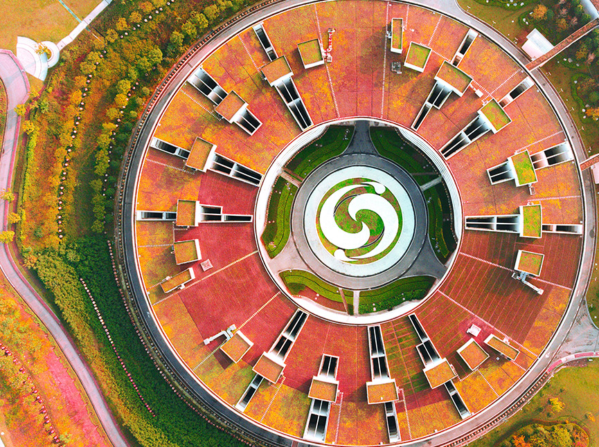 首页-人生就是博手机版