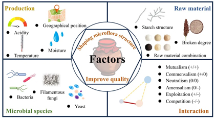 首页-人生就是博手机版