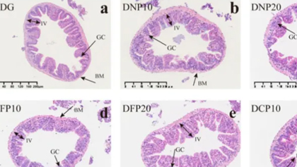首页-人生就是博手机版